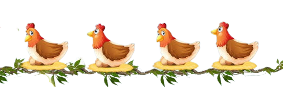 Poules Egg'C Bon